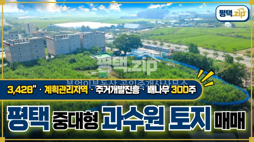 [평택시 비전동 꼬마빌딩 매매]가나다라마바사