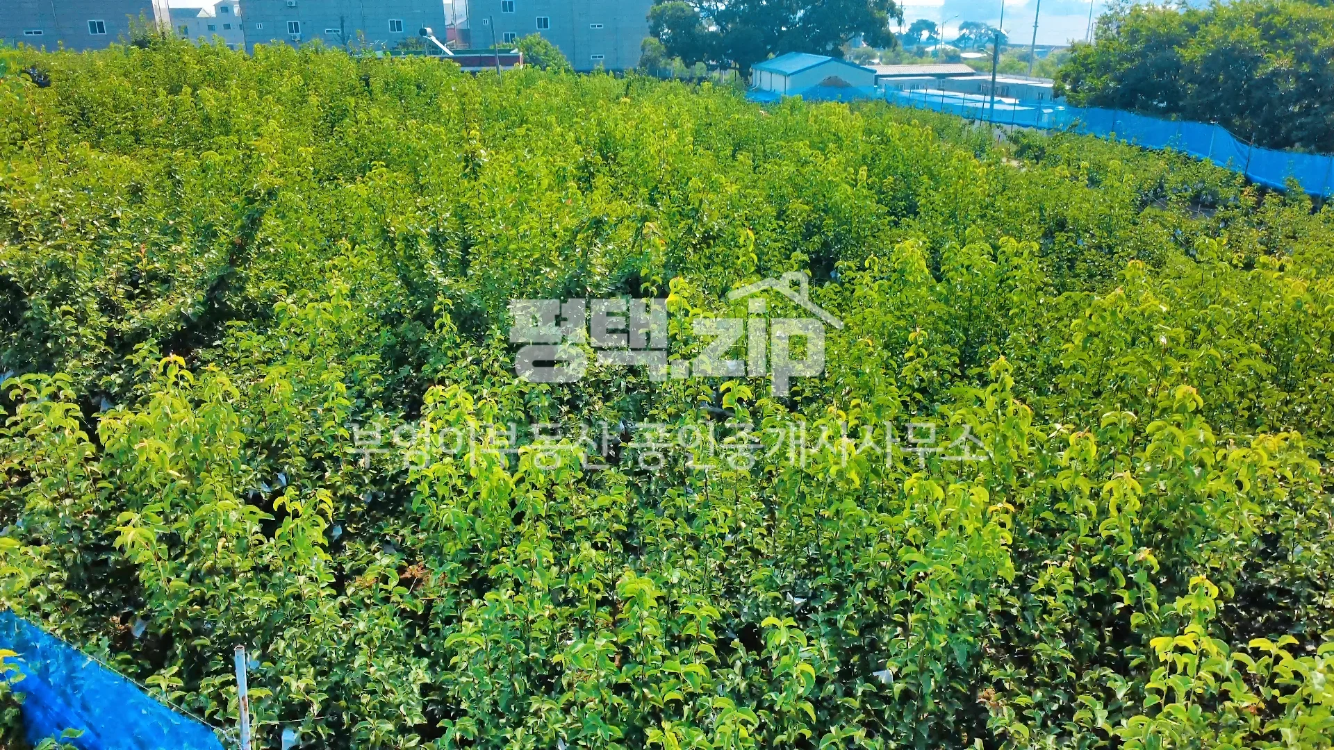 대규모사업추진용이토지 특징 - 매물 상세 사진 4 (No.20272) - 확대 보기
