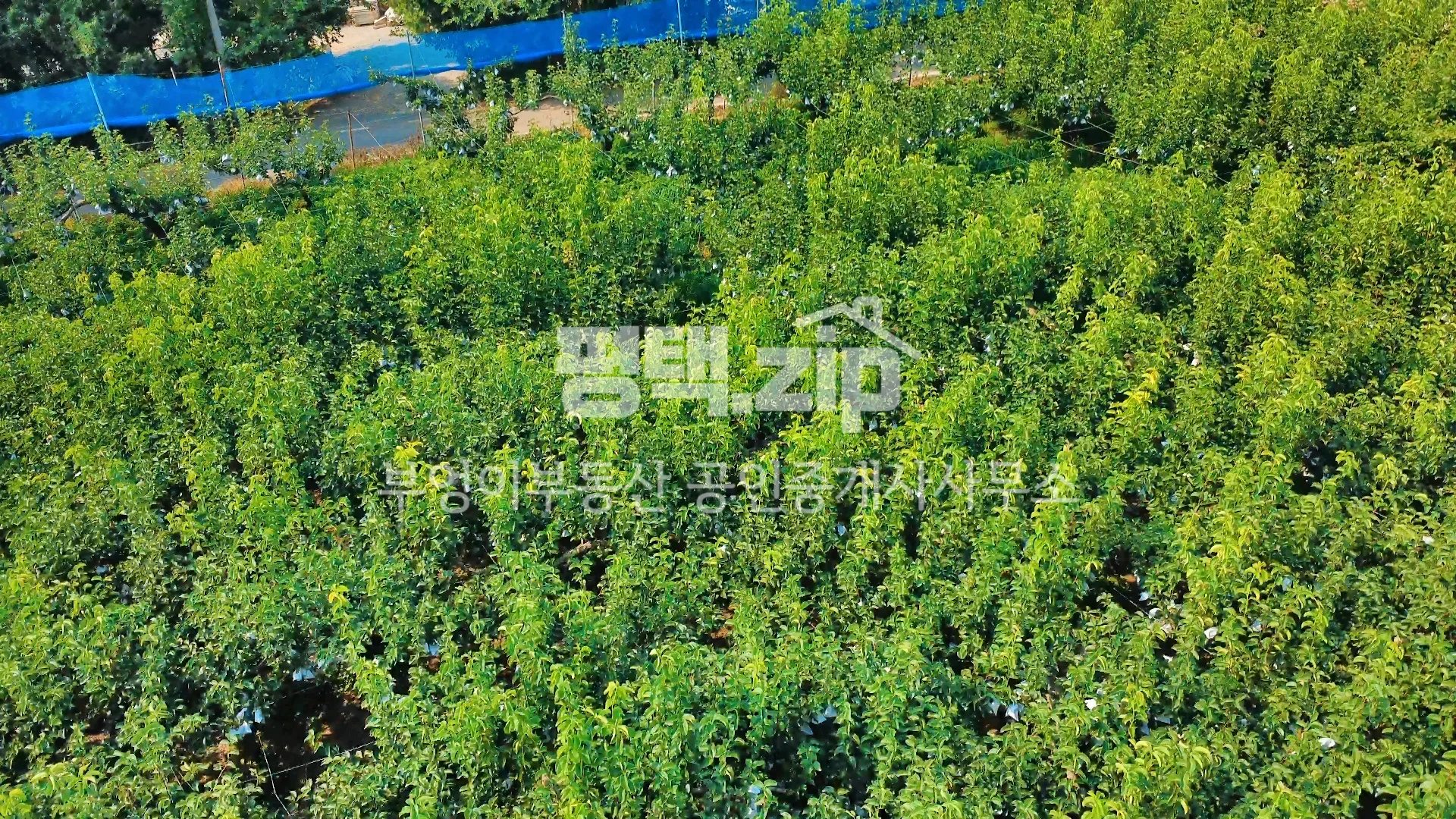 가격인하 특징 - 매물 상세 사진 5 (No.20272) - 확대 보기